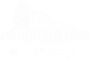 eGaroshi